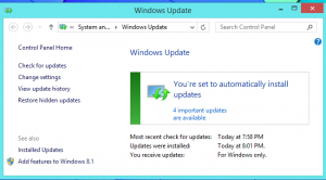 Automatic Windows Update