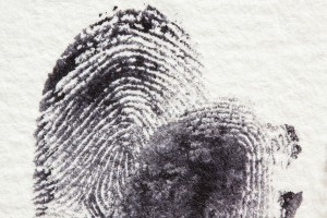 fingerprint